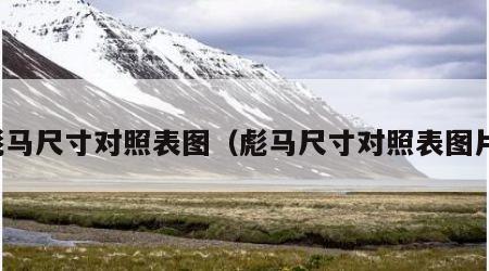 彪马尺寸对照表图（彪马尺寸对照表图片）