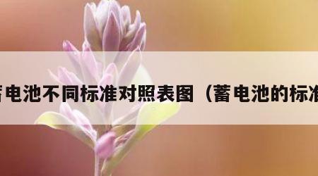 蓄电池不同标准对照表图（蓄电池的标准）