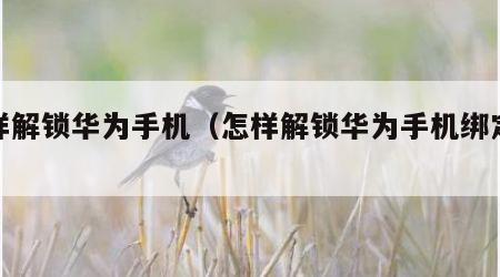 怎样解锁华为手机（怎样解锁华为手机绑定账号）