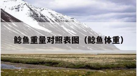 鲶鱼重量对照表图（鲶鱼体重）