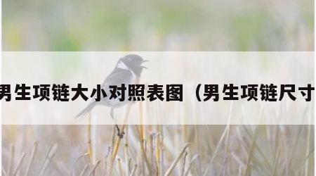 男生项链大小对照表图（男生项链尺寸）