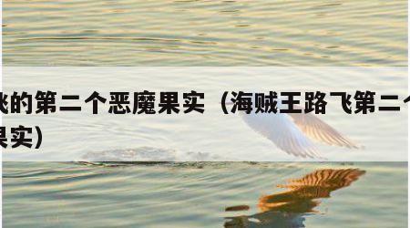 路飞的第二个恶魔果实（海贼王路飞第二个恶魔果实）