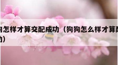 狗狗怎样才算交配成功（狗狗怎么样才算配对成功）