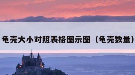 龟壳大小对照表格图示图（龟壳数量）