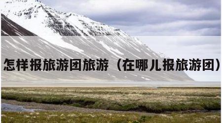 怎样报旅游团旅游（在哪儿报旅游团）