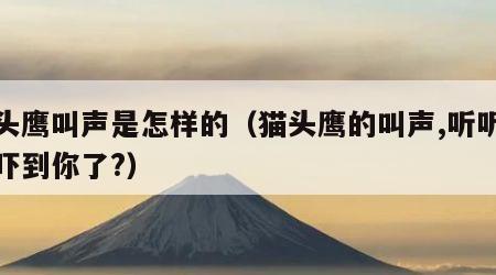 猫头鹰叫声是怎样的（猫头鹰的叫声,听听是否吓到你了?）