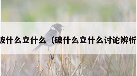 破什么立什么（破什么立什么讨论辨析）
