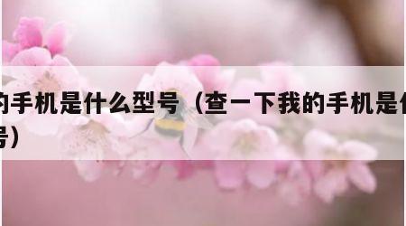 我的手机是什么型号（查一下我的手机是什么型号）