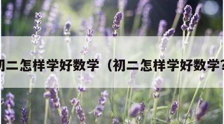 初二怎样学好数学（初二怎样学好数学?）