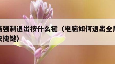 电脑强制退出按什么键（电脑如何退出全屏模式快捷键）