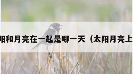 太阳和月亮在一起是哪一天（太阳月亮上升）