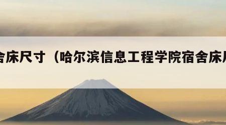 宿舍床尺寸（哈尔滨信息工程学院宿舍床尺寸）