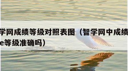 智学网成绩等级对照表图（智学网中成绩abcde等级准确吗）