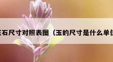 玉石尺寸对照表图（玉的尺寸是什么单位）