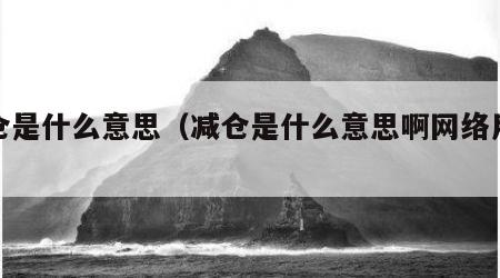 减仓是什么意思（减仓是什么意思啊网络用语）
