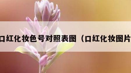 口红化妆色号对照表图（口红化妆图片）