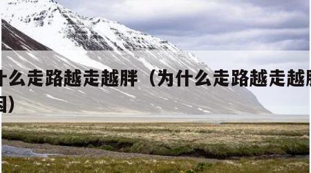 为什么走路越走越胖（为什么走路越走越胖的原因）