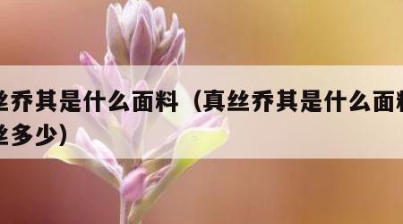 真丝乔其是什么面料（真丝乔其是什么面料含真丝多少）