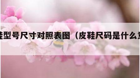皮鞋型号尺寸对照表图（皮鞋尺码是什么意思）