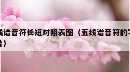 五线谱音符长短对照表图（五线谱音符的写法照片）
