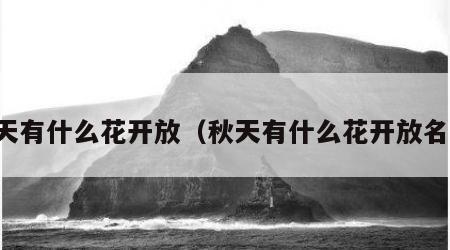 秋天有什么花开放（秋天有什么花开放名字）