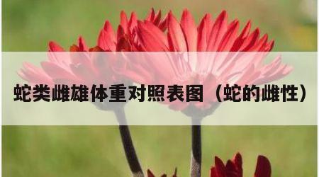 蛇类雌雄体重对照表图（蛇的雌性）