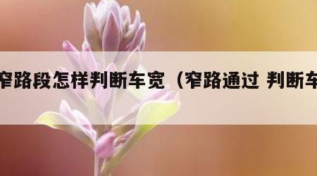 狭窄路段怎样判断车宽（窄路通过 判断车宽）