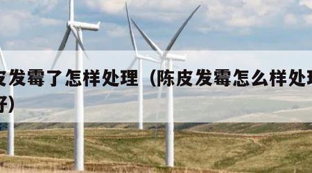 陈皮发霉了怎样处理（陈皮发霉怎么样处理比较好）