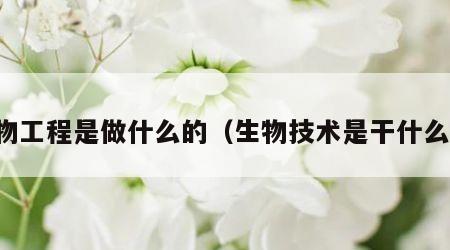 生物工程是做什么的（生物技术是干什么的）