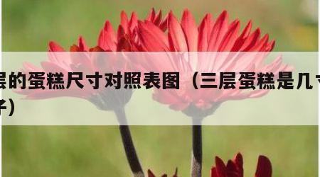 三层的蛋糕尺寸对照表图（三层蛋糕是几寸的胚子）