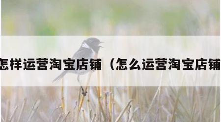 怎样运营淘宝店铺（怎么运营淘宝店铺）