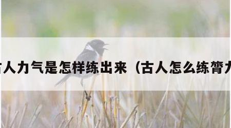 古人力气是怎样练出来（古人怎么练膂力）