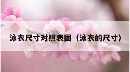 泳衣尺寸对照表图（泳衣的尺寸）