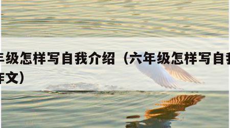 六年级怎样写自我介绍（六年级怎样写自我介绍作文）