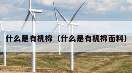什么是有机棉（什么是有机棉面料）