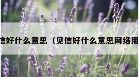 见信好什么意思（见信好什么意思网络用语）