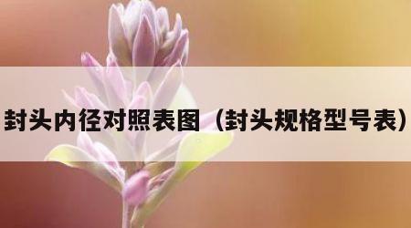 封头内径对照表图（封头规格型号表）
