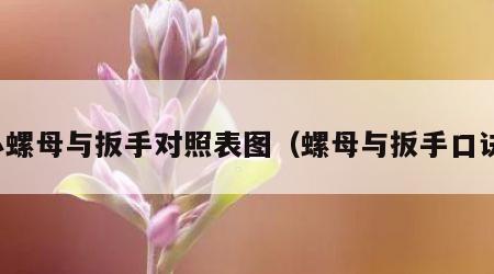 小螺母与扳手对照表图（螺母与扳手口诀）