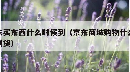 京东买东西什么时候到（京东商城购物什么时候到货）