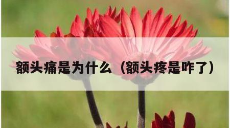额头痛是为什么（额头疼是咋了）