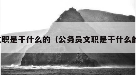文职是干什么的（公务员文职是干什么的）