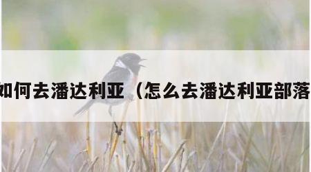 如何去潘达利亚（怎么去潘达利亚部落）