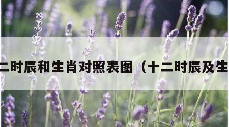 十二时辰和生肖对照表图（十二时辰及生肖）