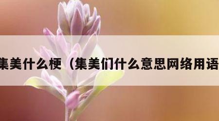集美什么梗（集美们什么意思网络用语）
