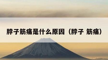 脖子筋痛是什么原因（脖子 筋痛）