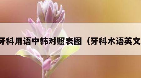 牙科用语中韩对照表图（牙科术语英文）
