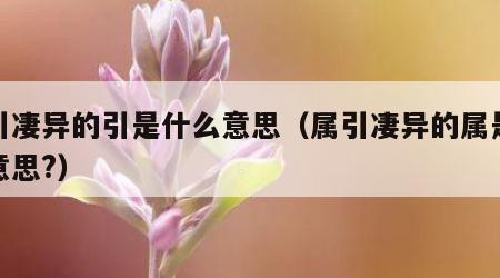 属引凄异的引是什么意思（属引凄异的属是什么意思?）