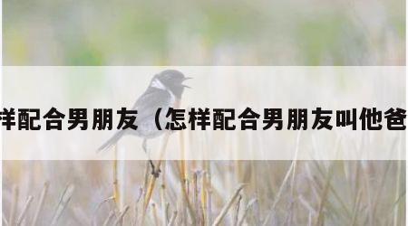 怎样配合男朋友（怎样配合男朋友叫他爸爸）