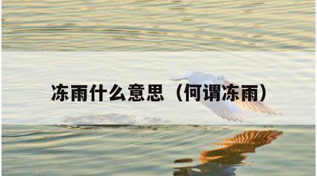 冻雨什么意思（何谓冻雨）