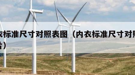 内衣标准尺寸对照表图（内衣标准尺寸对照表图片）
